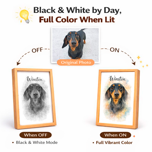 Personalized Light-Up Frame